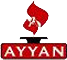 Sre Ayyan Industries